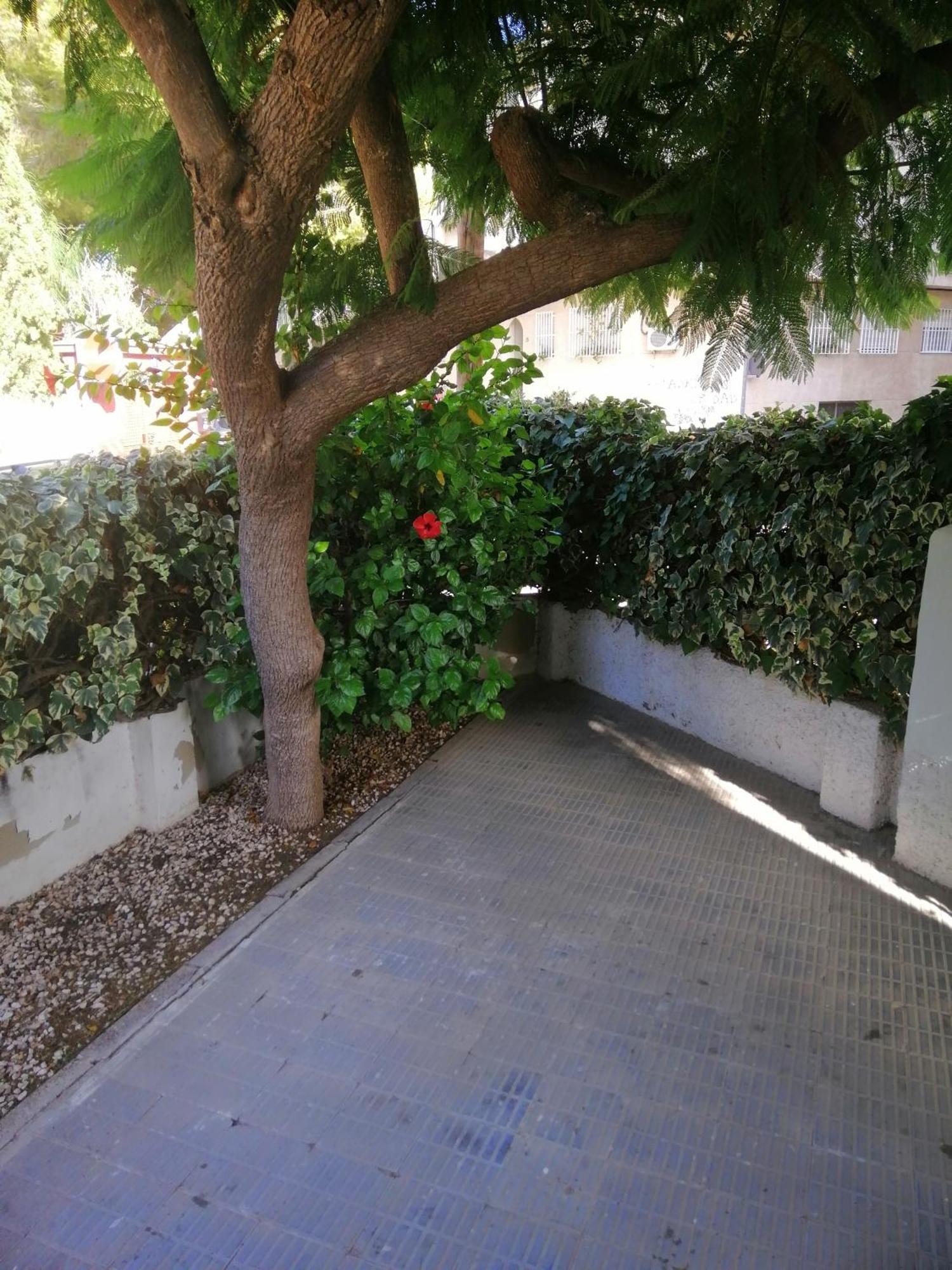 Chalet II Con Jardin Y Wifi En La Playa San Pedro del Pinatar Exterior photo